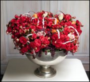 bloemen en planten vvbvanbree     1155